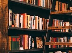 Warm, inviting library scene featuring wooden shelves filled with colorful books and a rustic ladder.